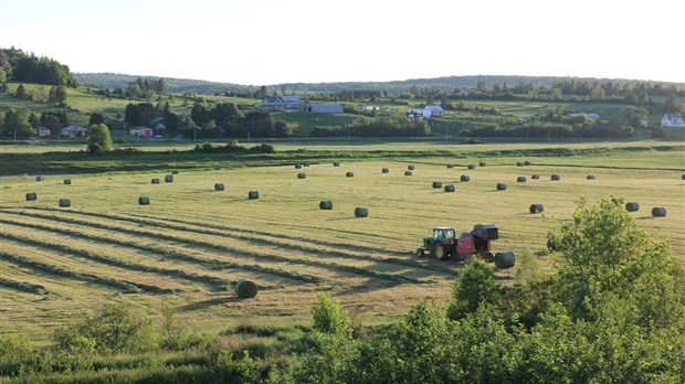 Services-conseils: Québec coupe dans l’accompagnement des entreprises agricoles  