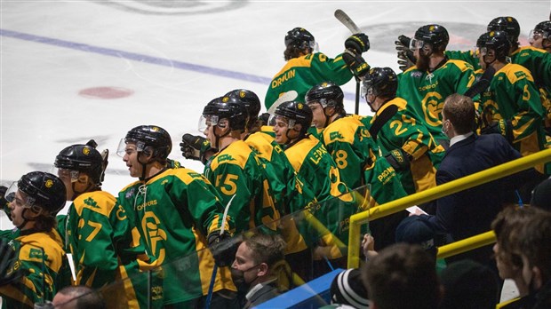 Bagarres dans la LHJAAAQ: c'est maintenant tolérance zéro