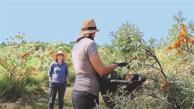 Journée de conférences sur les produits forestiers non ligneux