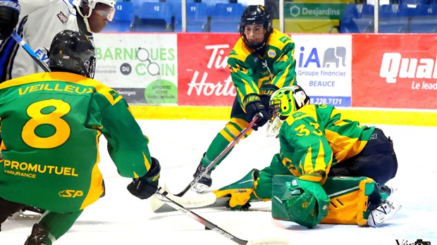 Hockey : coup d'arrêt pour les Condors 