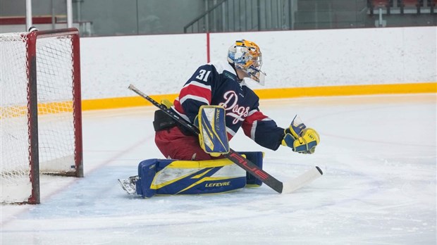 Les Bulldogs de Beauce-Centre concluront leur saison ce samedi