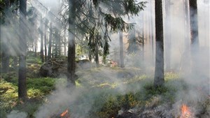 Un mois de septembre dans la moyenne pour la SOPFEU