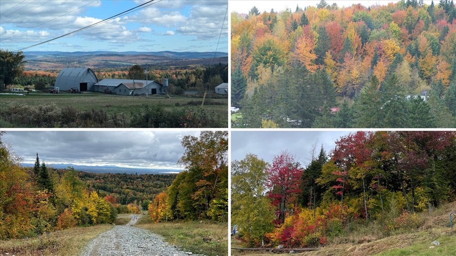 Appel photo : capturez les couleurs vibrantes de l’automne !