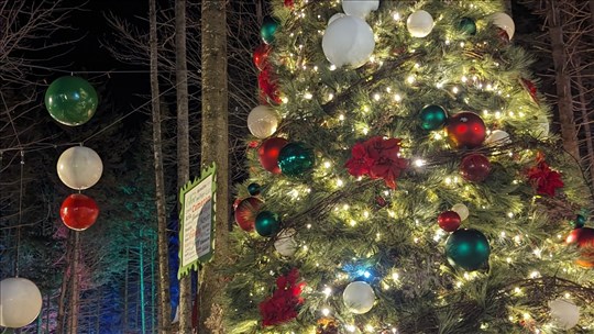 Le retour de l'arbre magique pour un Noël magique à Beauceville