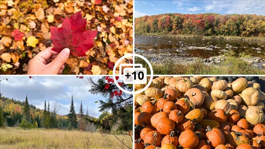 Galerie 4 : les couleurs d'automne à travers vos yeux