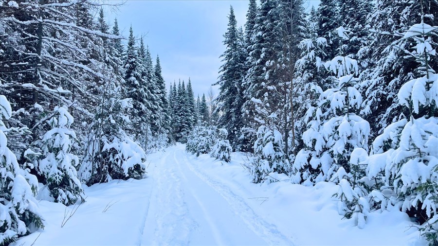 Neige et conditions difficiles attendues pour le passage à 2025