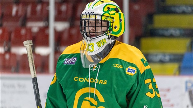 Hockey: les Condors essuient une nouvelle défaite