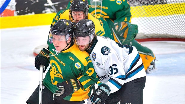 Les Condors assomment les Panthères avec une 2e victoire