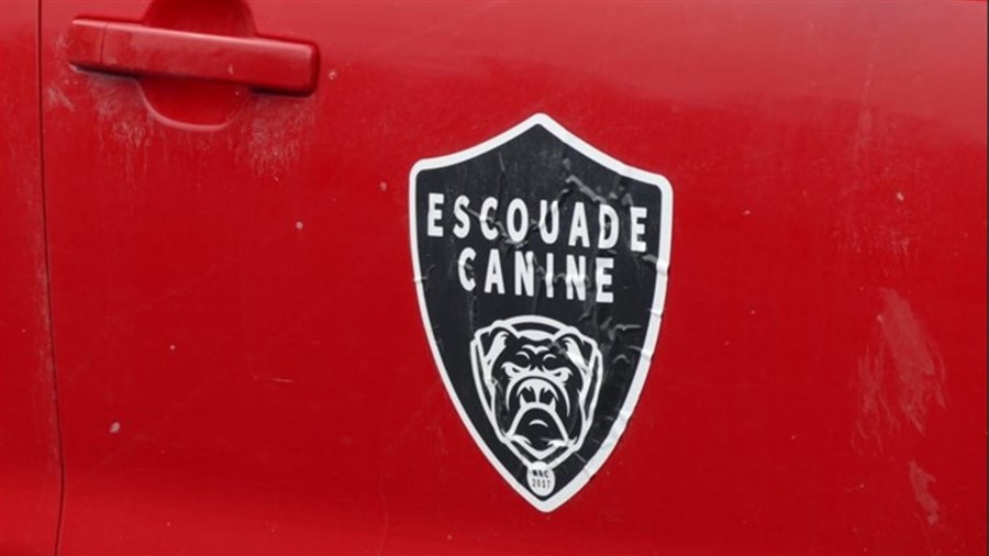 Saint-Martin résilie son contrat avec l'Escouade Canine MRC