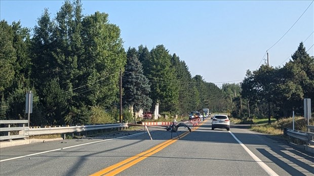 Accident sur la route 204: l'identité de l'homme dévoilée