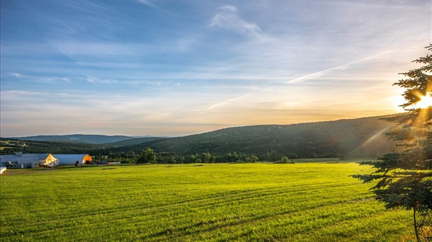 La MRC des Etchemins lance la révision de son plan de développement de la zone agricole