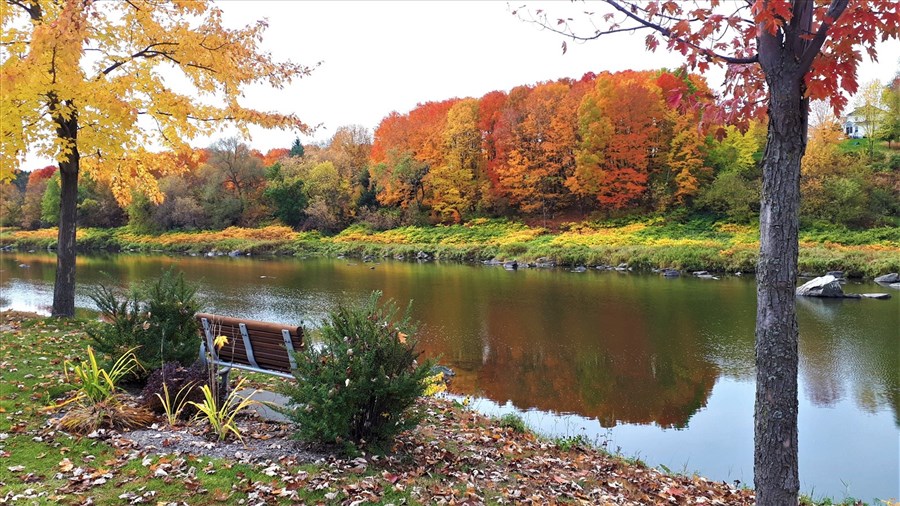 Le premier jour de l'automne le plus hâtif en plus de 200 ans