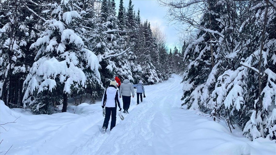 Que faire en Chaudière-Appalaches pour la dernière fin de semaine des Fêtes ?