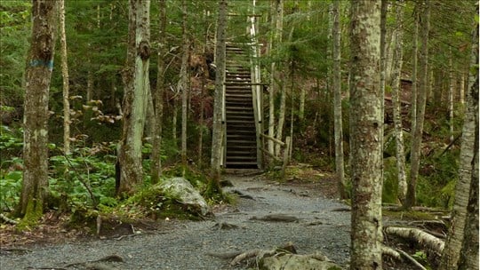 Fermeture temporaire d’un segment de sentier au parc des Sept-Chutes
