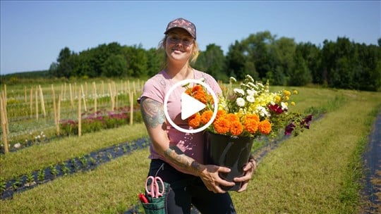 Roanie Ferme Florale: des fleurs cultivées avec passion