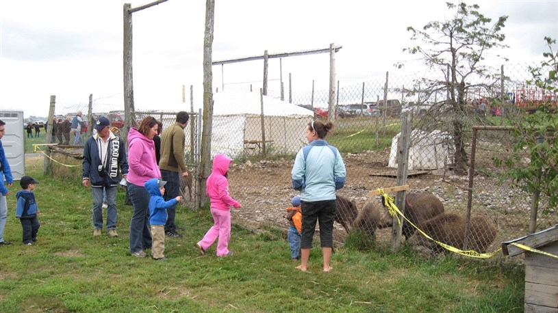 Des milliers de visiteurs la Ferme du Chasseur